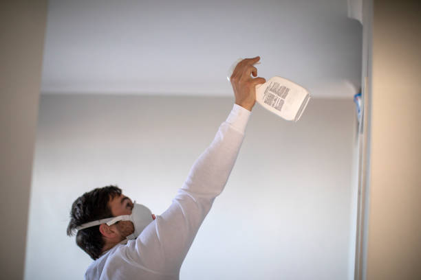 Best Emergency Mold Remediation in Rosedale, WA