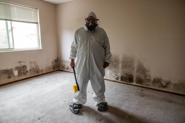 Best Mold Remediation for Specific Building Types in Rosedale, WA